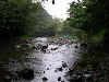 s_IMGP0275s.png